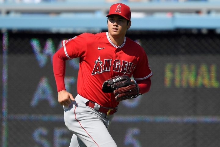 大谷翔平 パネル40㎝×29㎝ | nate-hospital.com