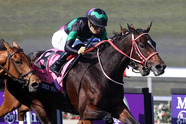 ラヴズオンリーユー ブリーダーズカップ優勝 記念ジャンパー
