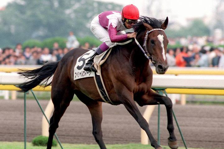 現地的中】スペシャルウィーク 1998年 日本ダービー - 競馬