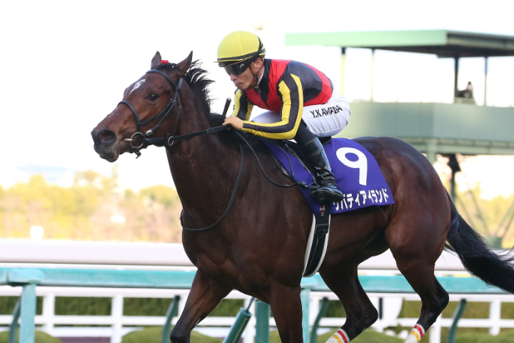 【競馬】リバティアイランド（阪神ジュベナイルフィリーズ）現地単勝馬券／的中 阪神JF】1番人気リバティアイランドがG1初制覇 | 競馬