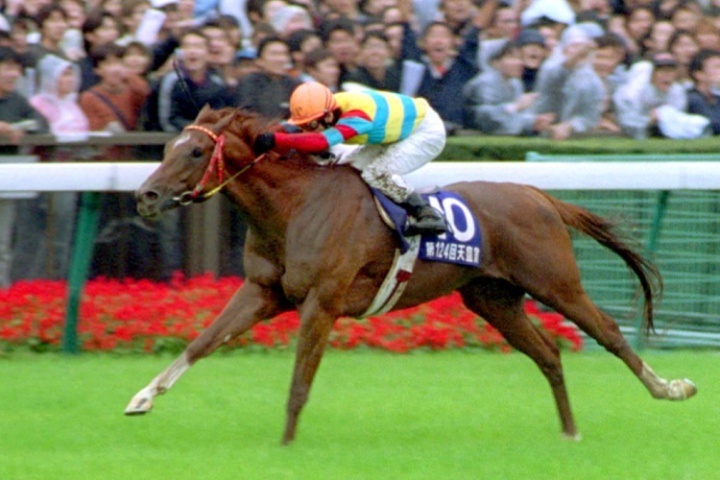 アグネスデジタル他17頭　00年 マイルCS　現地的中単勝馬券　人気薄・貴重 アグネスデジタル他17頭 00年 マイルCS 現地的中単勝馬券 人気薄