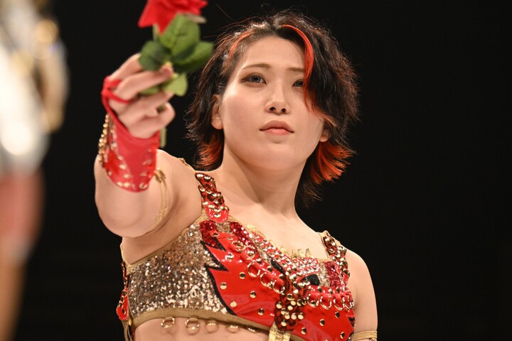 女子プロレス 林下詩美写真集通常版 - 格闘技/プロレス