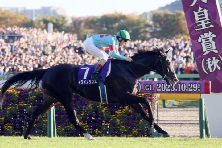 イクイノックス ドバイシーマクラシック優勝記念品 未開封 イク