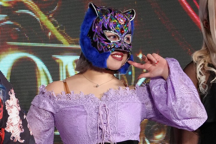 レア】 ハローキティ 根付け ストラップ 全日本プロレス 覆面レスラー