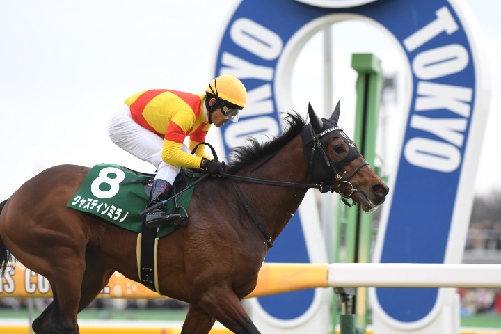 ジャスティンミラノ　全戦現地単勝馬券セット（新馬～日本ダービー）★引退種牡馬入り ジャスティンミラノ 全戦現地単勝馬券セット（新馬～日本