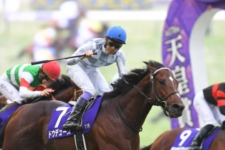 JRAウルトラプレミアム コントレイルカップ」の無料AI競馬