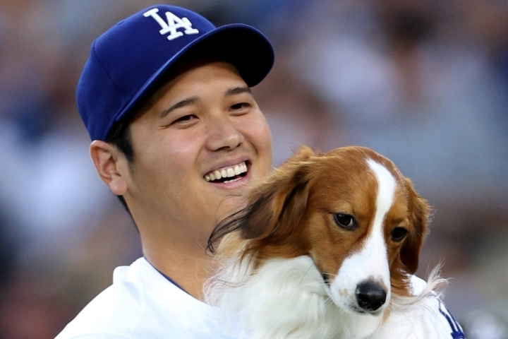 正規品】大谷翔平/ベッツ/フリーマン/マンシー/スミス マウンド