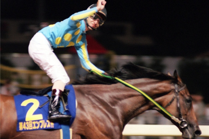 競馬 カード アルバム 大量 まとめて 中央 地方 名馬 伝説