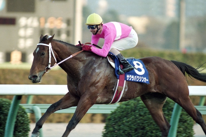 他場的中単勝馬券スプリンターズSサクラバクシンオー これは最後の愛のムチ！サクラバクシンオー」【スプリンターズ
