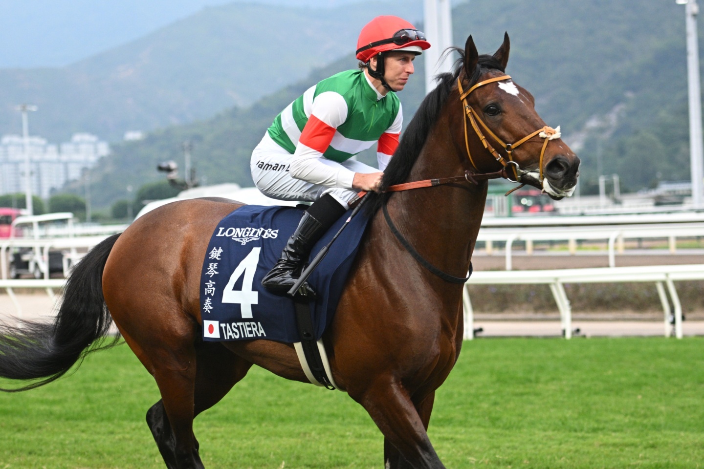 タスティエーラ（Tastiera） | 競馬データベース | JRA-VAN